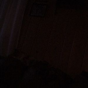 Meet your Posher, Pierrette